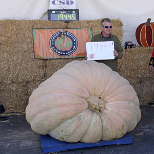 1944.5-Pound Pumpkin Takes Top Prize at Weigh-Off