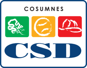 csd
