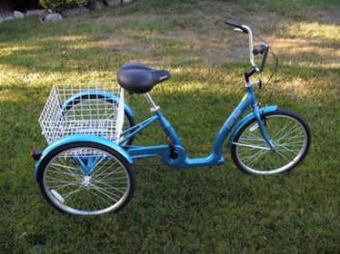The Tricycle