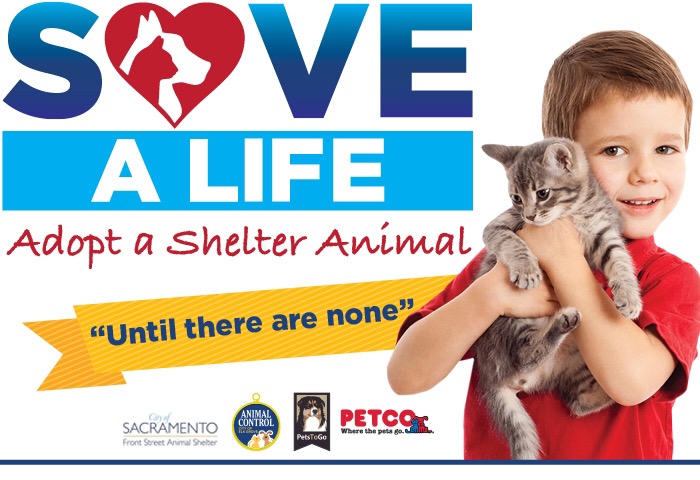 Pet Adoption Event