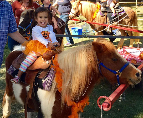 Elk Grove Giant Pumpkin Festival Draws Large Crowds