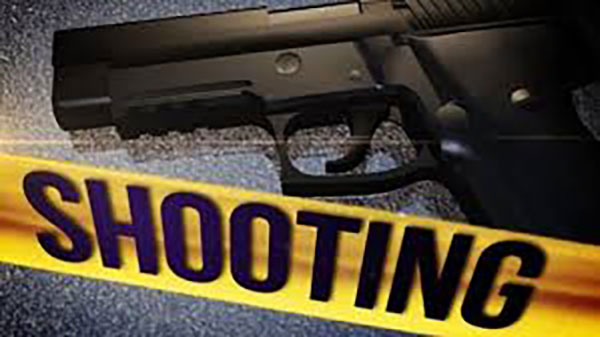 A Friday Night Shooting at Wackford Community Park in Elk Grove
