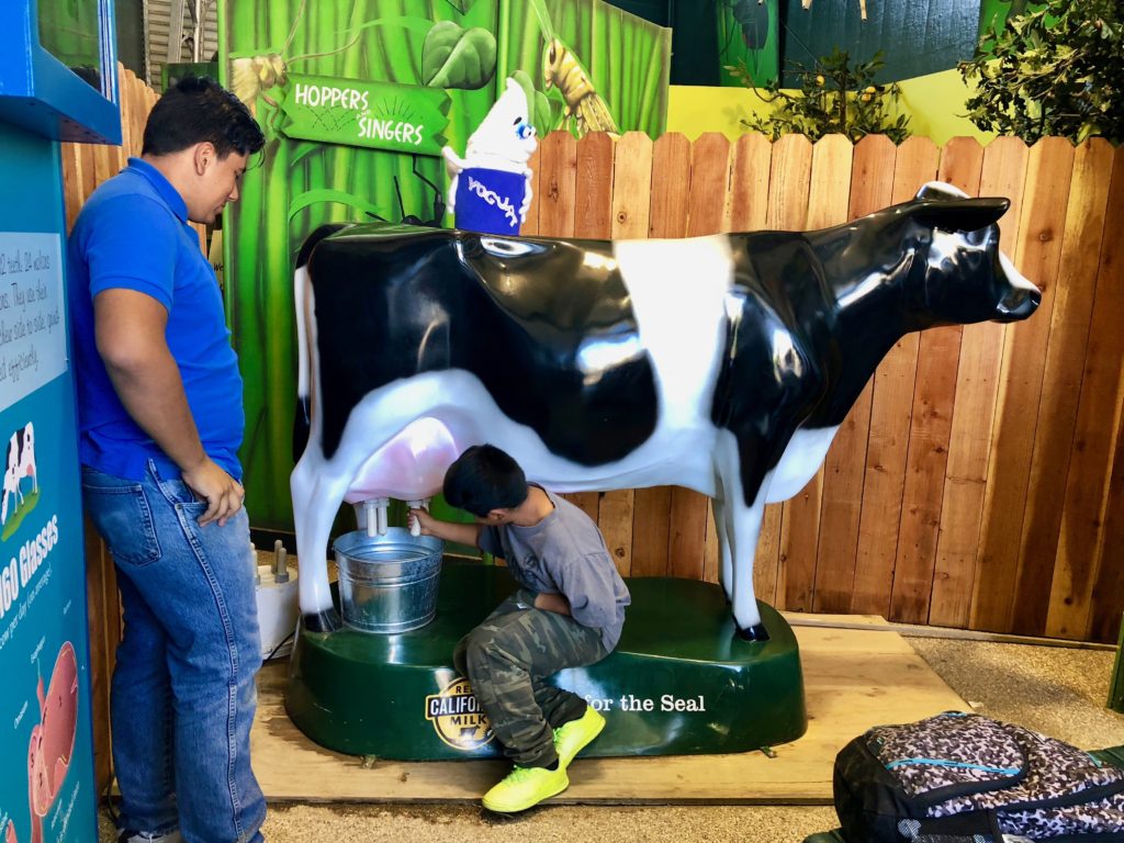 Elk Grove Students Learn About Milk In Time For National Dairy Month