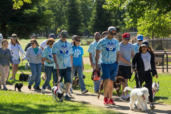 A Dog Gone Good Time at Pet-A-Palooza in Elk Grove