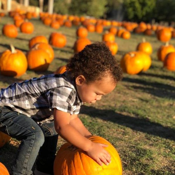 It’s Pumpkin Picking Season!