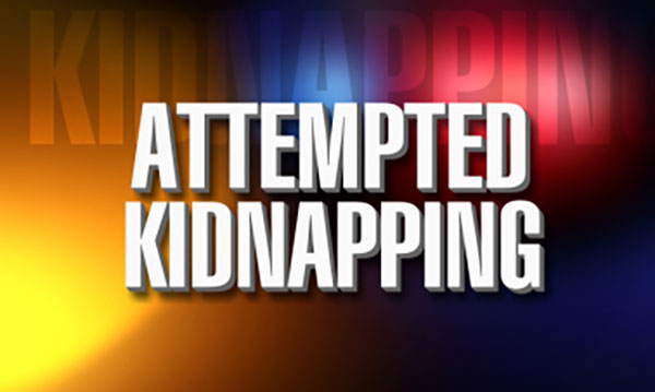 Kidnapping Attempt In South Sacramento