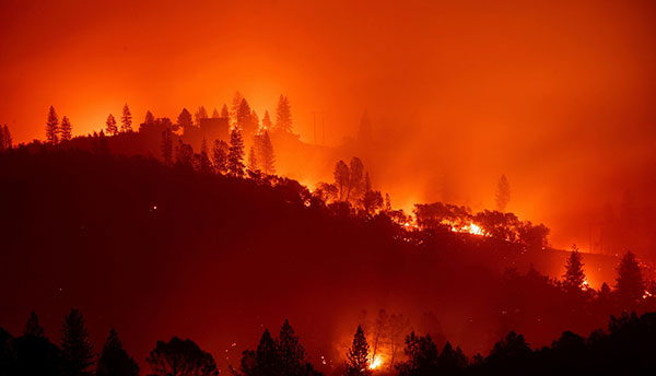 Bay Area Moraga Neighborhood Evacuated Early Thursday Due To Wildfire