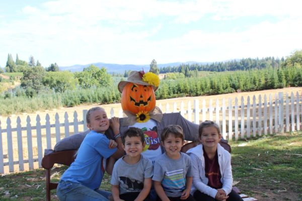 Apple Hill Best Places To Visit