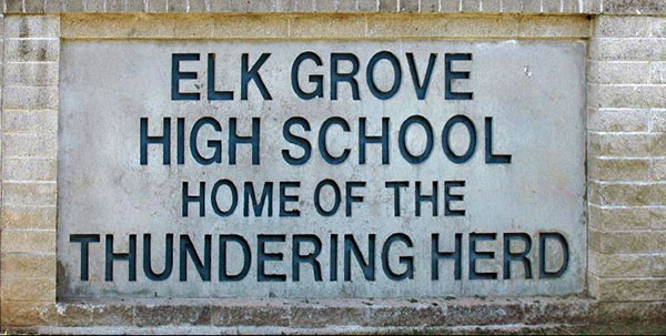 14 Year Old Suspects Arrested For Bringing A Gun & Ammunition To Elk Grove High School