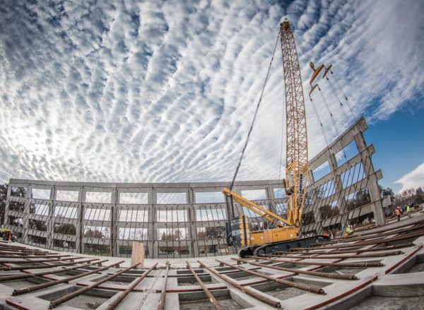 The Ridge Shopping Center Opening Six Businesses By August
