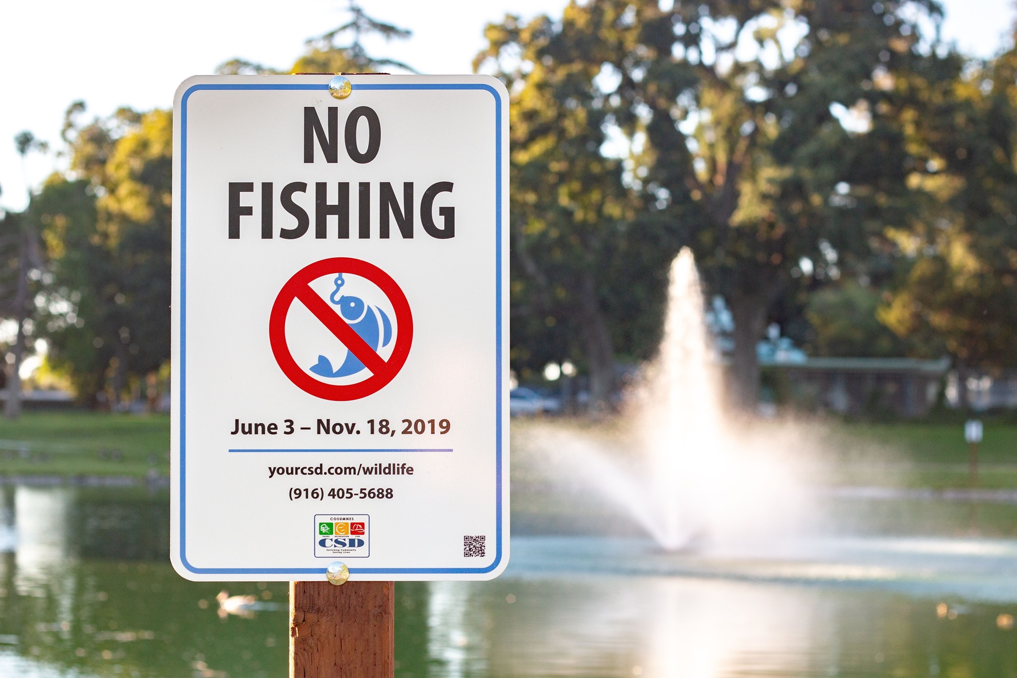Temporary Ban On Fishing At Elk Grove Park