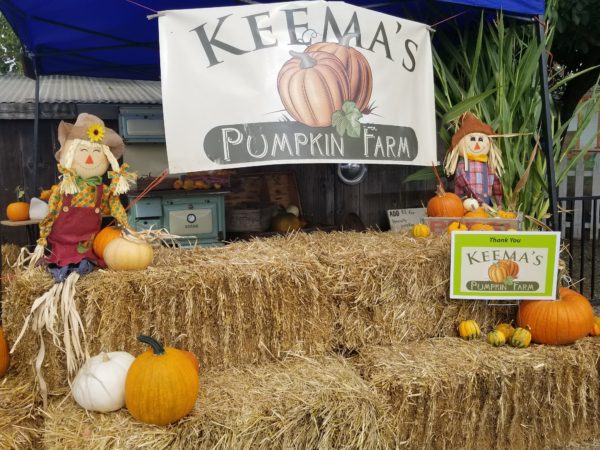 Bring The Kids To Keema’s Pumpkin Farm!