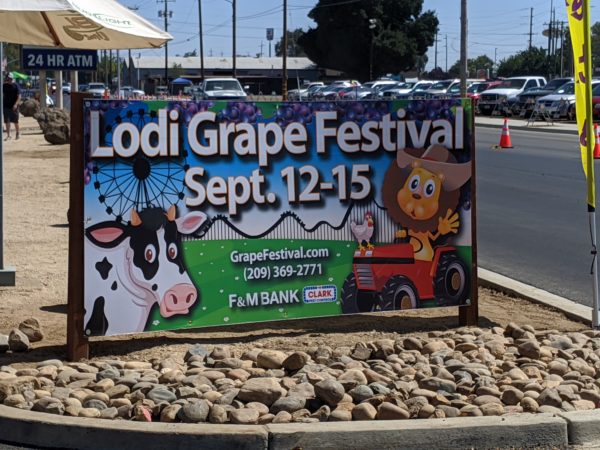 Lodi Grape Festival Is A Hit!