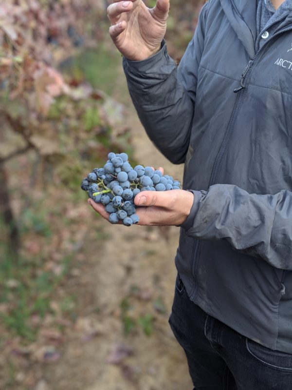 Elk Grove’s Newest Winery – Christopher Cellars