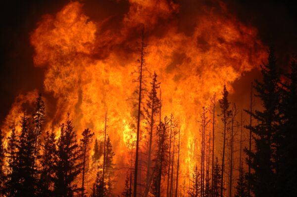 Fires In Elk Grove & Surrounding Areas
