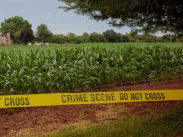 Male Body Found At Galt Dairy Farm
