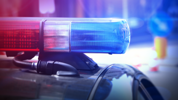 Elk Grove Police Arrest Two People Caught Stealing Catalytic Converter