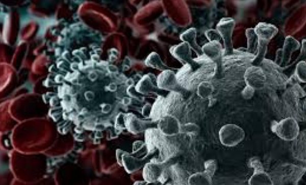 Legal Order Issued To Sacramento County To Stay Home During Coronavirus Crisis