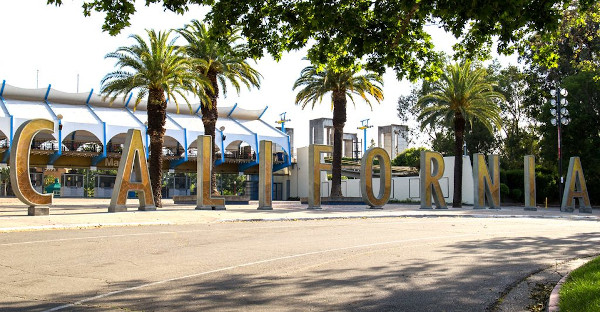 Grab Takeout From California State Fair Food Festival