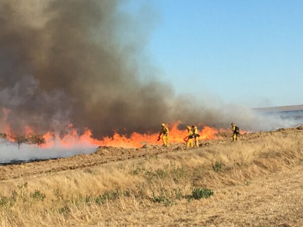 Grass Fire In Elk Grove Tamed To 100 Acres