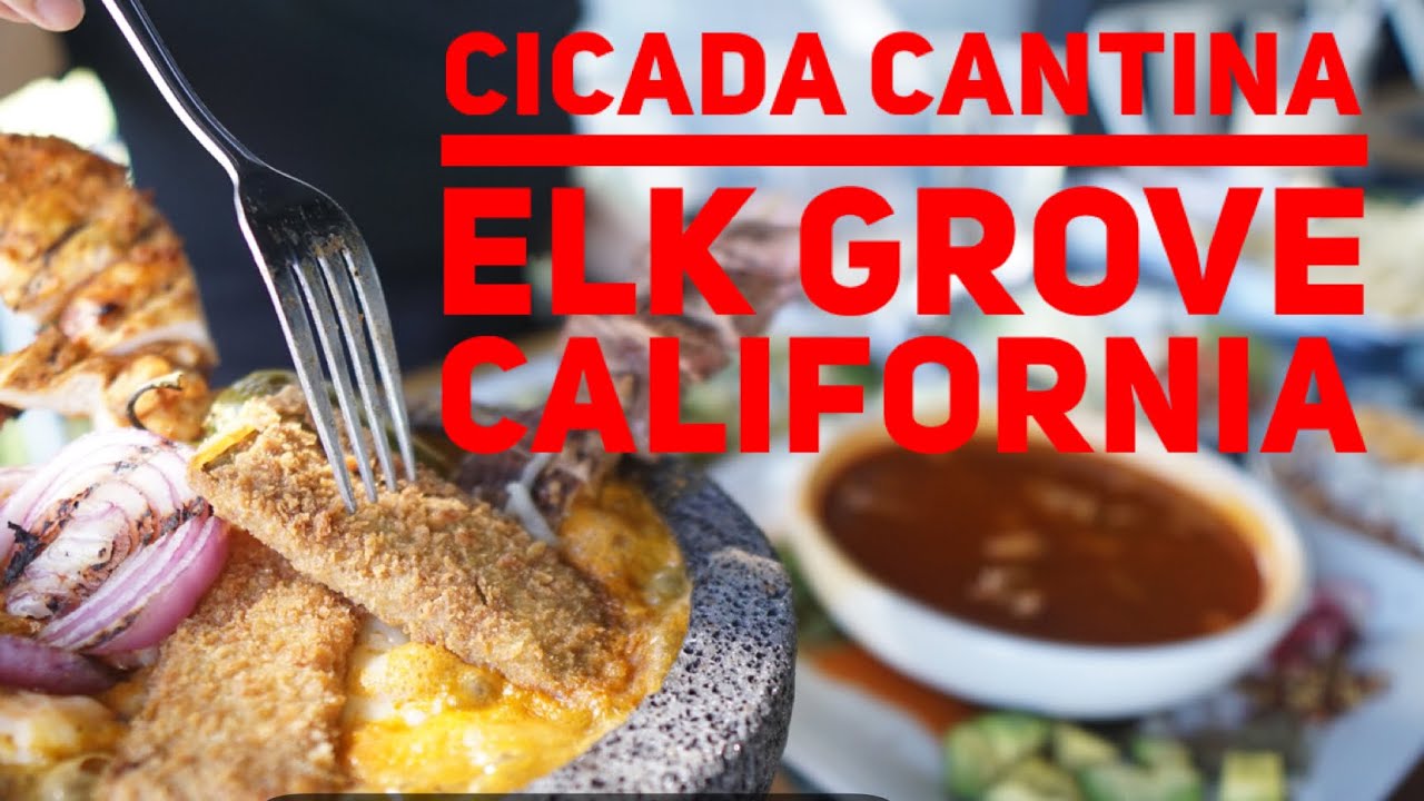 Cicada Cantina Serves Great Food With An Awesome Outdoor Dining Experience