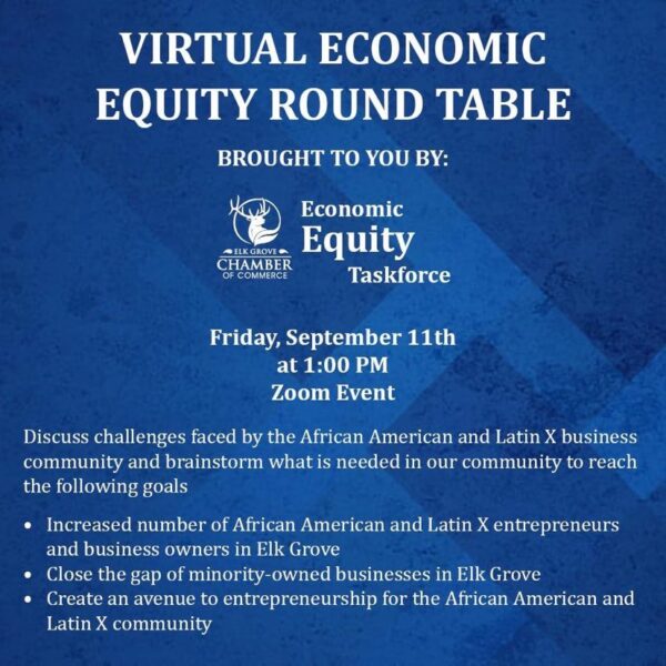 Economic Equity Taskforce