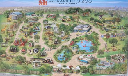 Could Elk Grove Soon Be Home To The Sacramento Zoo?