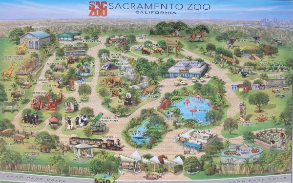 Could Elk Grove Soon Be Home To The Sacramento Zoo?