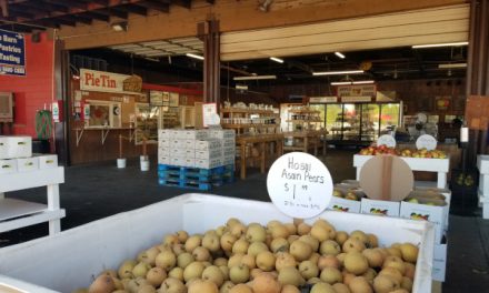 A Surprisingly Quiet Visit To Apple Hill