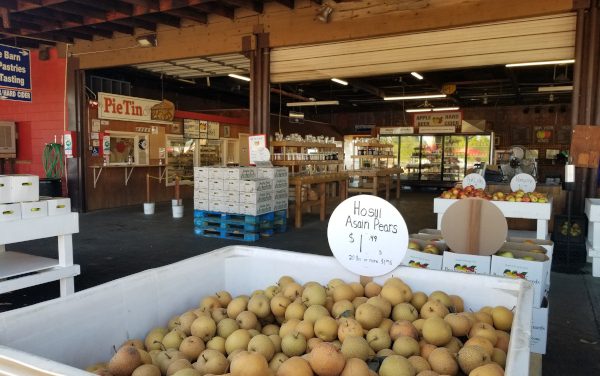 A Surprisingly Quiet Visit To Apple Hill