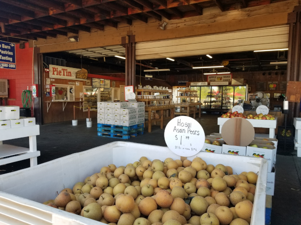 A Surprisingly Quiet Visit To Apple Hill