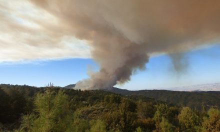 California Wildfire Season: Protecting Your Health From Poor Air Quality