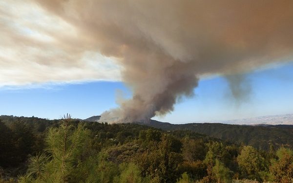 California Wildfire Season: Protecting Your Health From Poor Air Quality