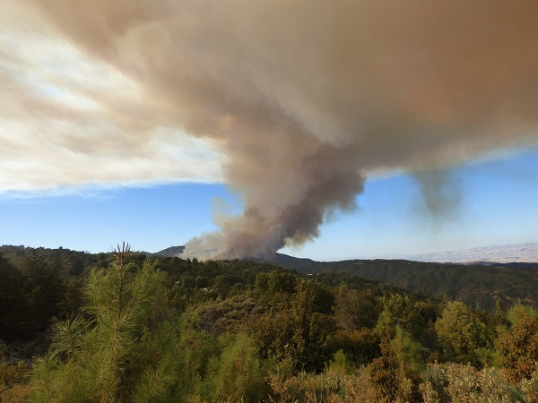 California Wildfire Season: Protecting Your Health From Poor Air Quality