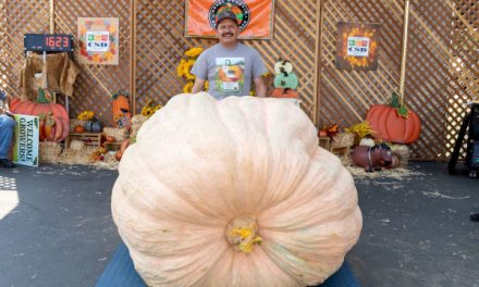 Booming Success For Giant Pumpkin Festival