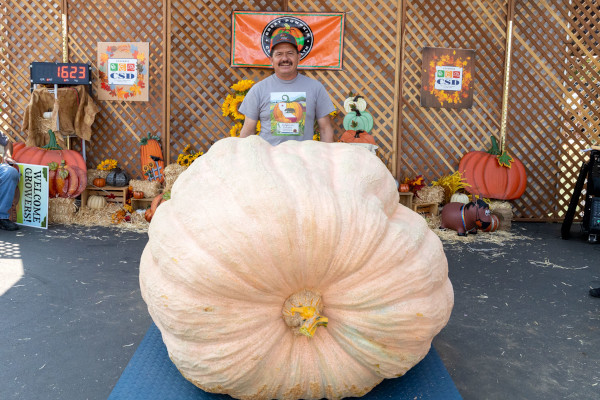 Booming Success For Giant Pumpkin Festival