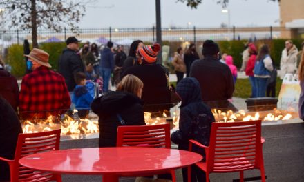 Holiday Festival Celebrates Culture & Diversity
