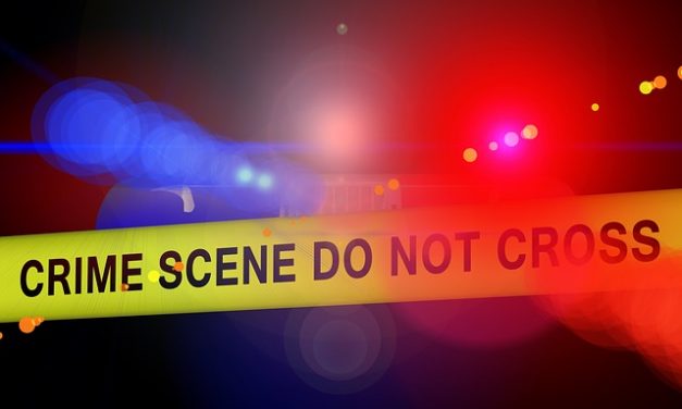 Man Fatally Stabbed Near Elk Grove WinCo