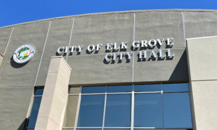 Election Results: Elk Grove City Council and Mayoral Race