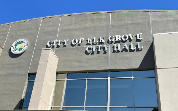 Election Results: Elk Grove City Council and Mayoral Race
